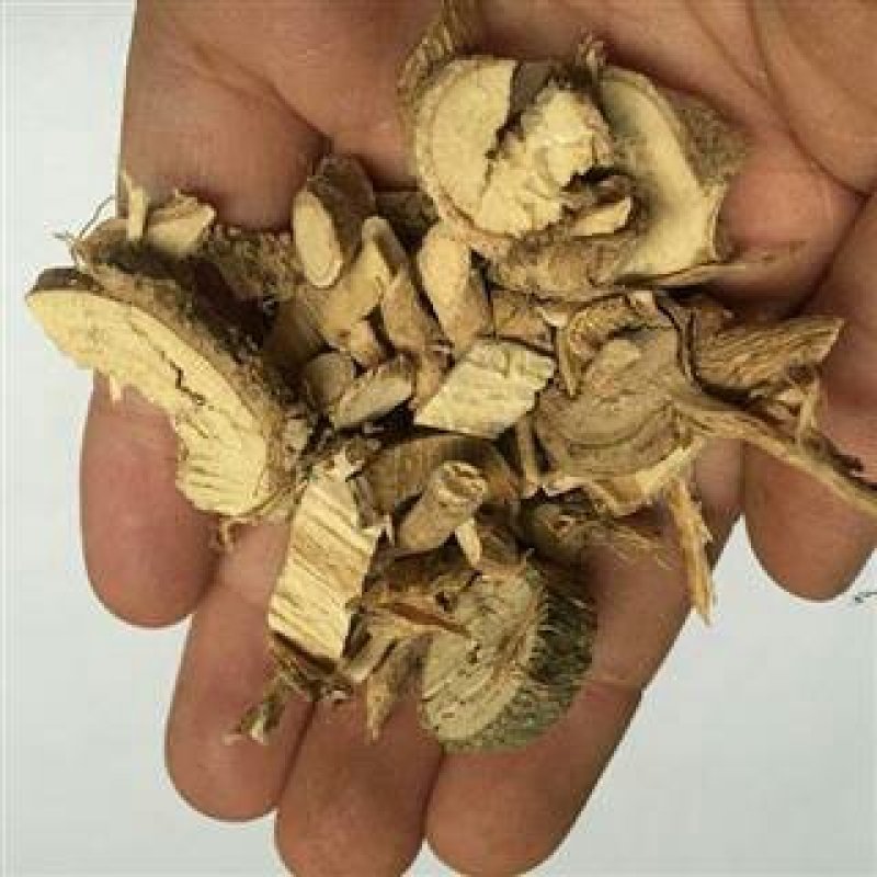 黄蜀葵根千余品种供应承接订单