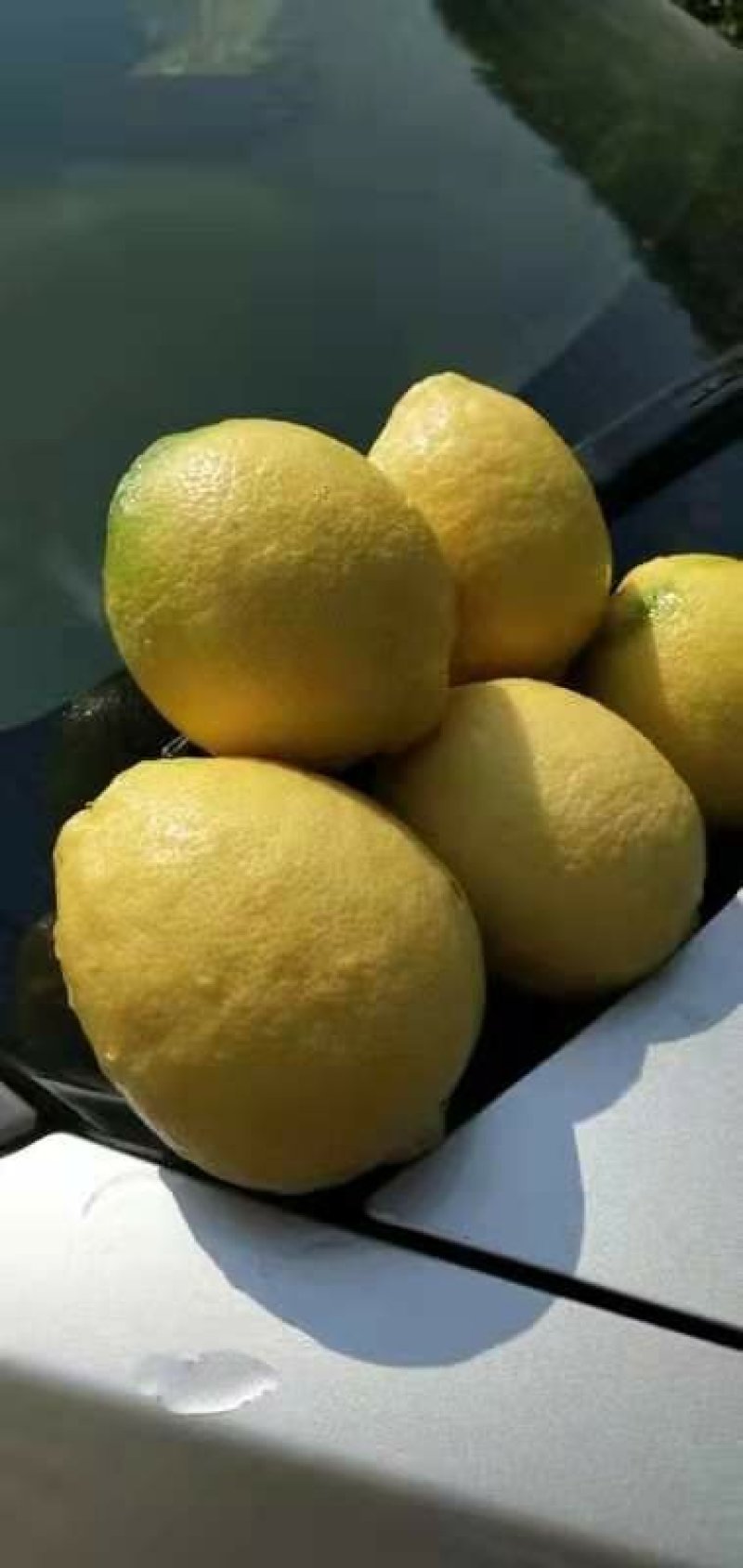 柠檬