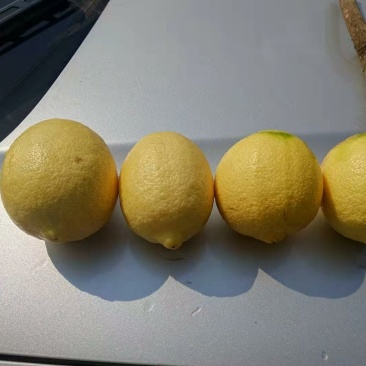 柠檬
