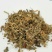 荔枝草雪见草千余品种供应承接订单