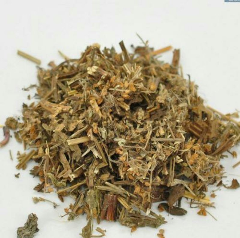 荔枝草雪见草千余品种供应承接订单