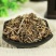 荔枝草雪见草千余品种供应承接订单
