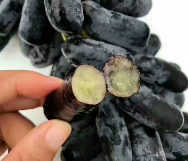 甜蜜蓝宝石葡萄苗50~80cm2年苗，天然无核