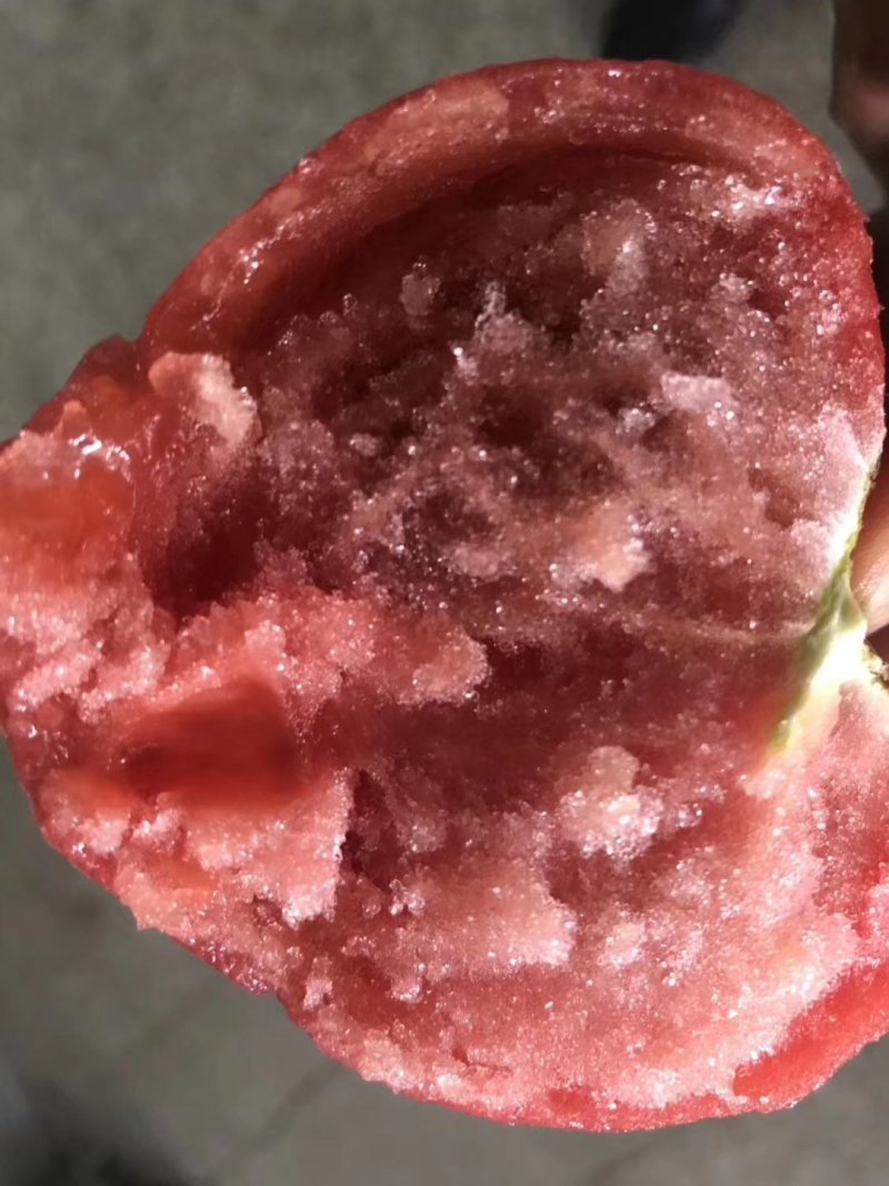 普罗旺斯口感西红柿苗有货
