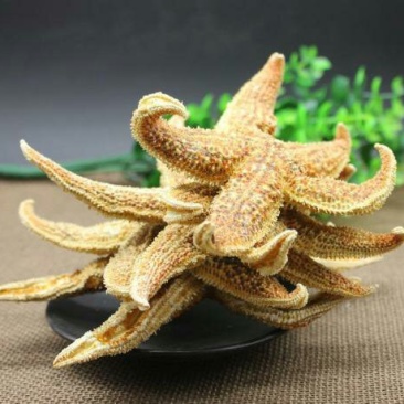 海星千余品种供应承接订单