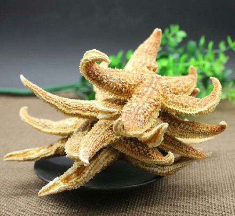海星千余品种供应承接订单