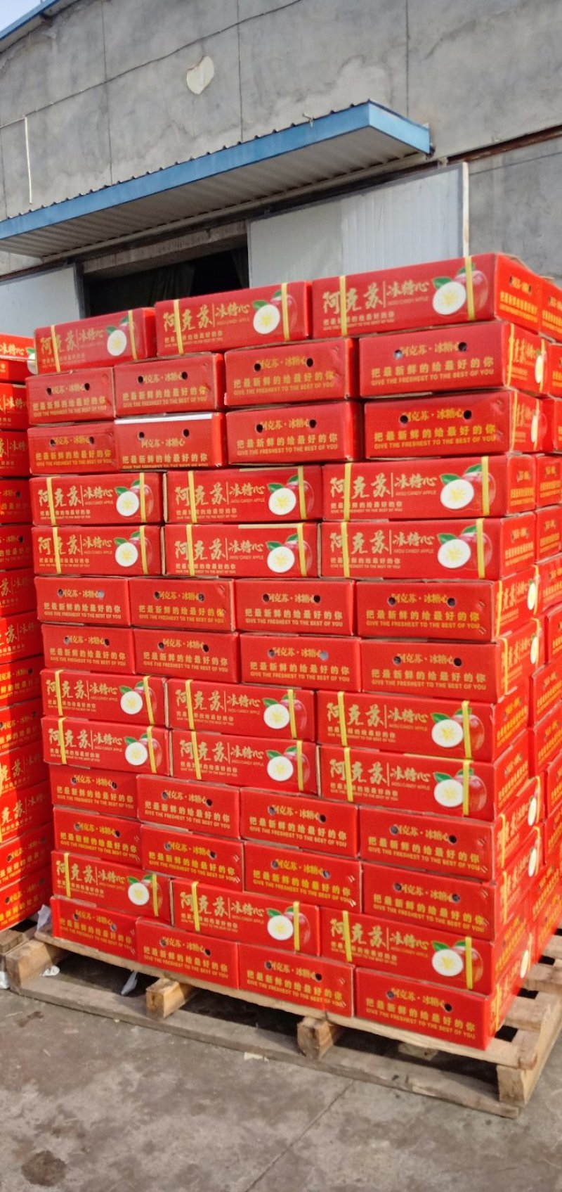 新疆阿克苏冰糖心高次代办整车发货招代理一手货源视频看货