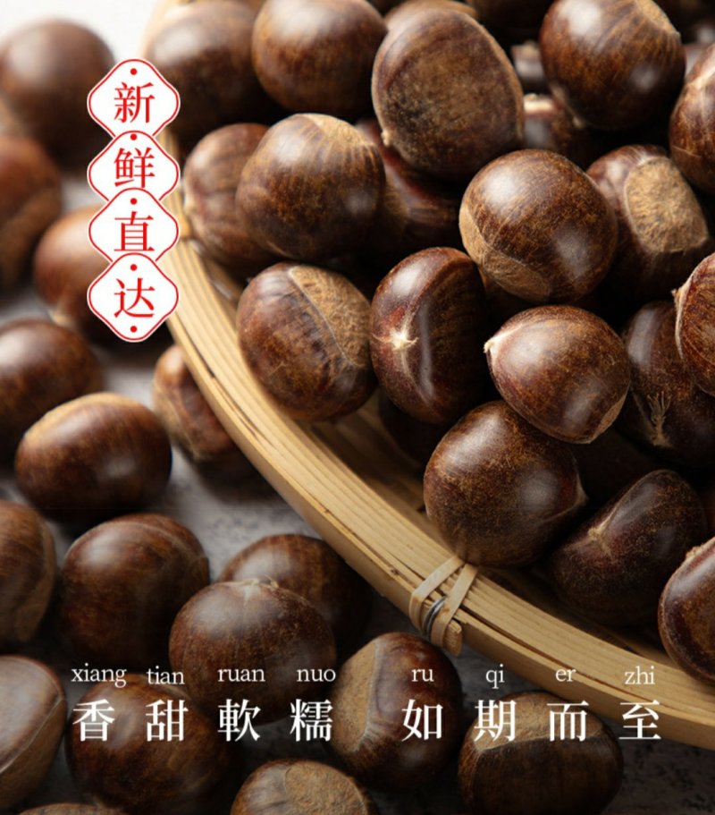 2021广西新鲜土板栗上市