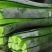 潍县青水果萝卜种植现货现拔人工费全免供应电商加工厂零