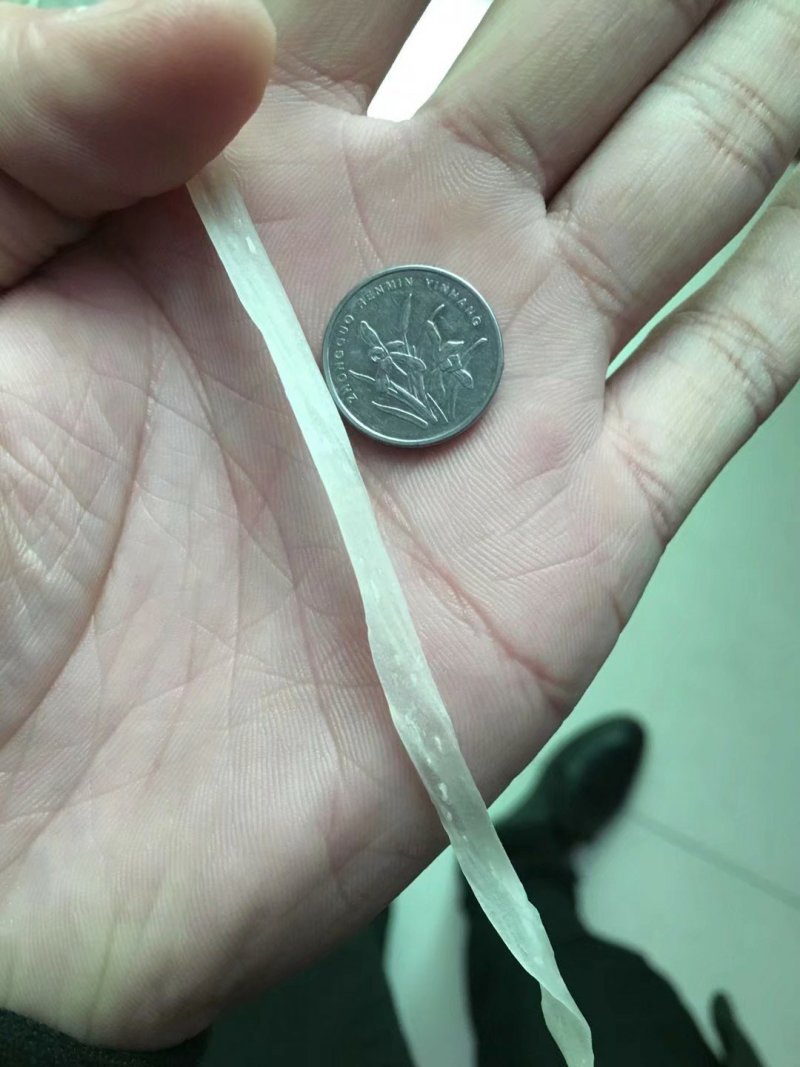 河南汝州市粉条厂家批发，云里香粉业有限公司
