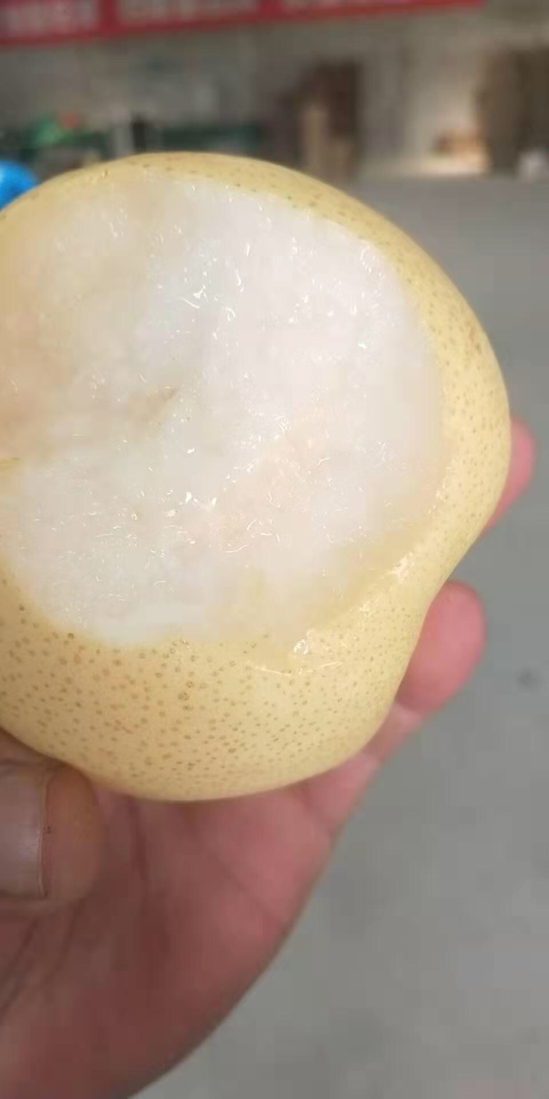 一件代发梨子现摘当季新鲜水果梨子酥梨