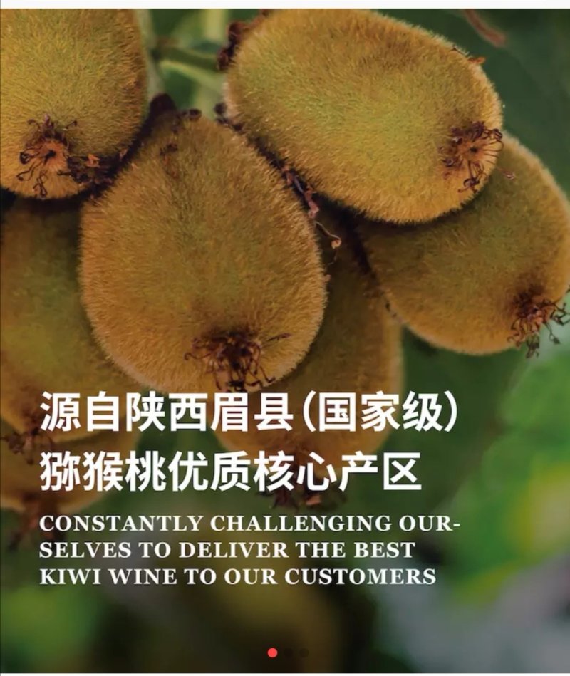 清酿猕猴桃酒•全果发酵