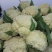 大量有机松花，花菜大量上市了，