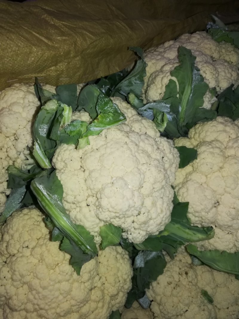 大量有机松花，花菜大量上市了，