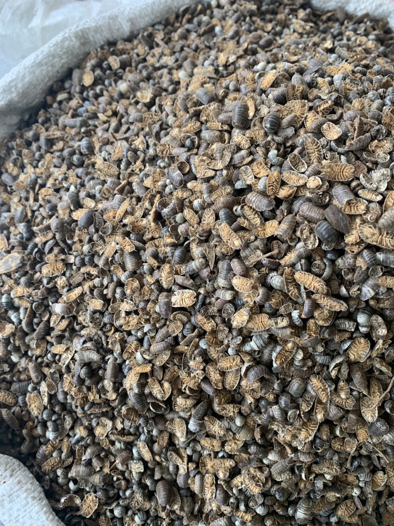 新货鼠妇虫，鼠妇虫粉，批发中药材。全国销售，欢迎进店沟通