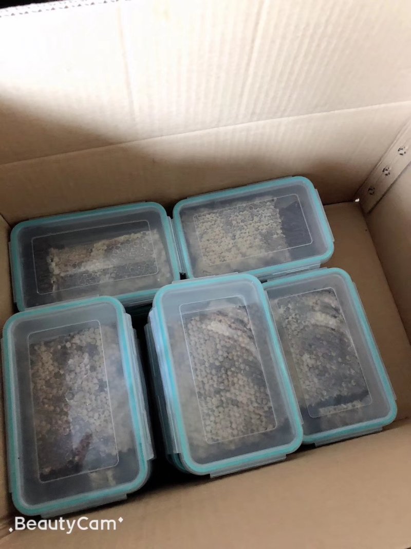 500克深山老蜂巢蜜批发，包邮，蜂场直供纯正天然一件代发