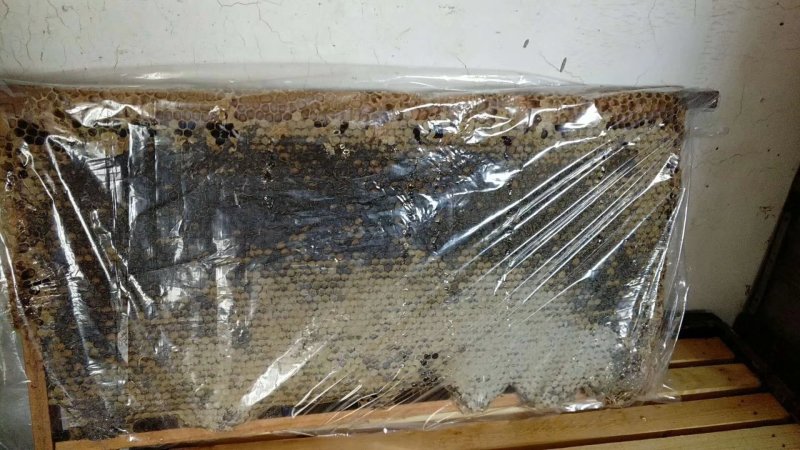 500克深山老蜂巢蜜批发，包邮，蜂场直供纯正天然一件代发