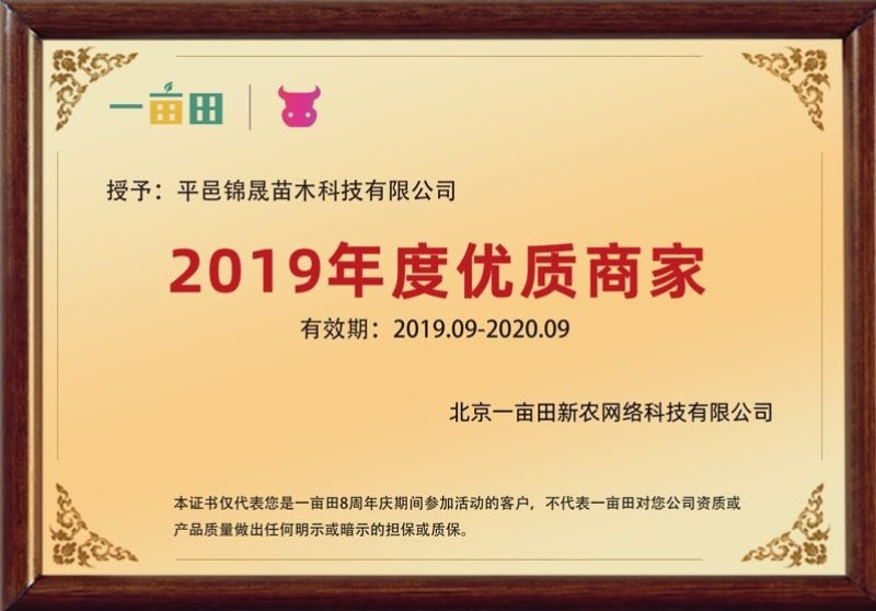 新品种花蕾一号树形金银花包纯度，技术，包回收