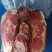 恩施特产土家腊肉，正宗土猪腊肉好吃不腻，回味无穷