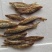 用最传统加工方式手加工火培鱼