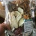 七彩菌汤包量大从优大货批发
