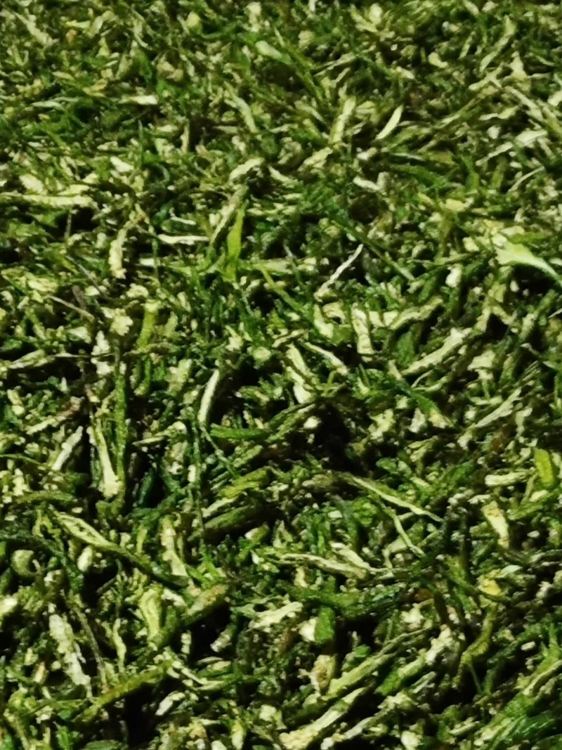 青辣椒片