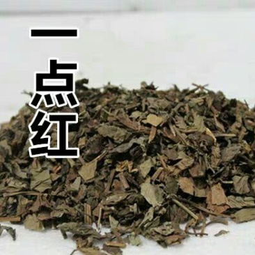 一点红产地直供支持线上交易可搭配多品种采购大货联系客