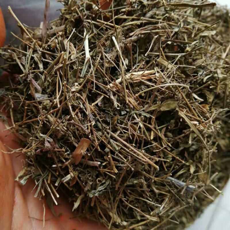 丁葵草二叶人字草产地直供支持线上交易可搭配多品种采购