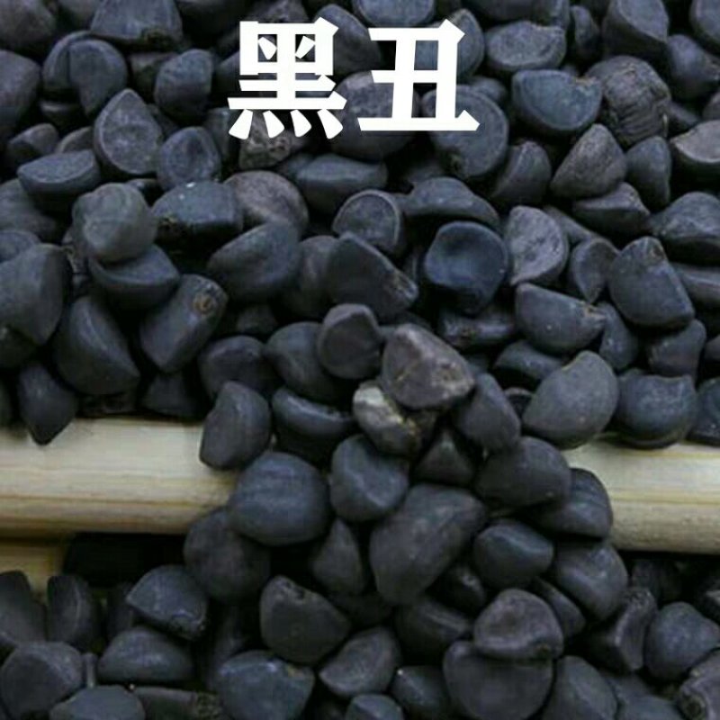 二丑牵牛子黑丑白丑产地直供支持线上交易可搭配多品