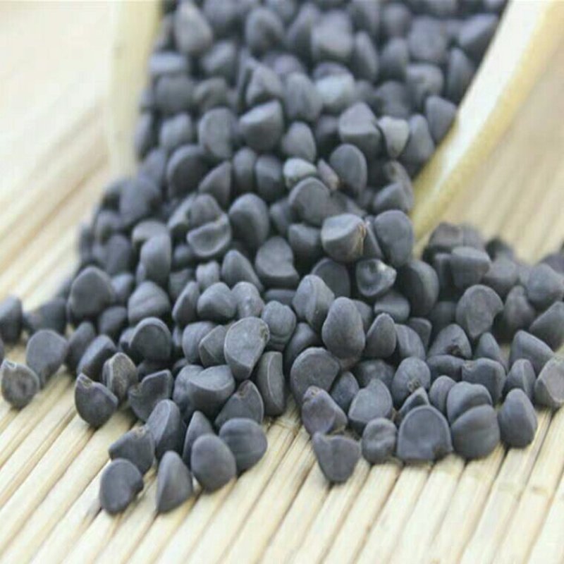 二丑牵牛子黑丑白丑产地直供支持线上交易可搭配多品