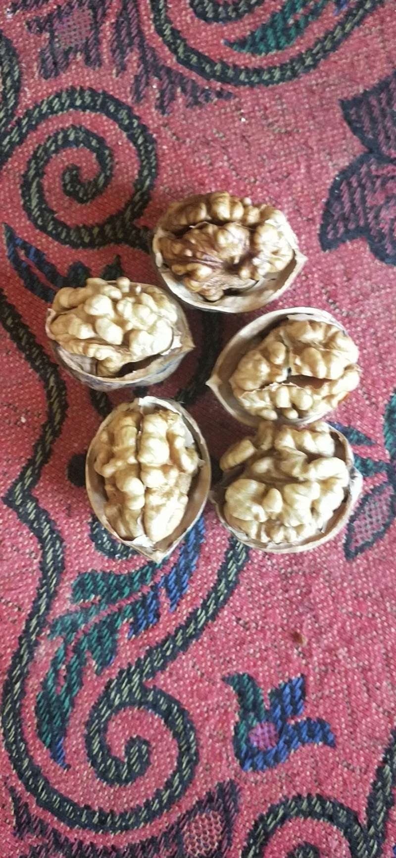 2019新疆新二核桃