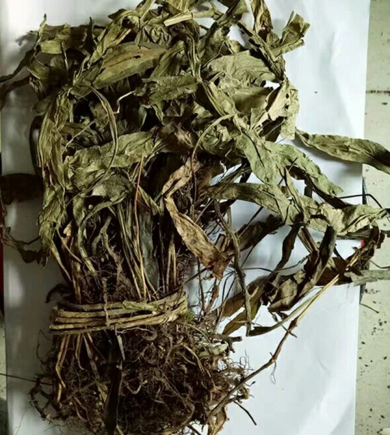 七星剑产地直供支持线上交易可搭配多品种采购大货联系
