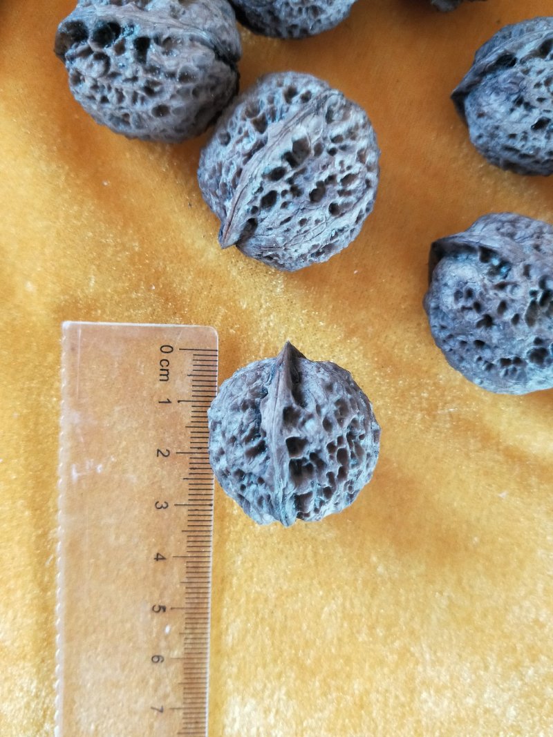 可工艺用铁核桃