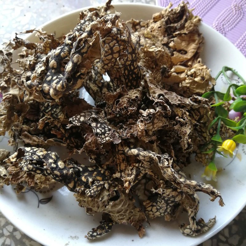 老龙皮.道地药材，质优价实，品质保证，药典标准一公斤起批