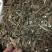 山甘草.道地药材，质优价实，品质保证，药典标准一公斤起批