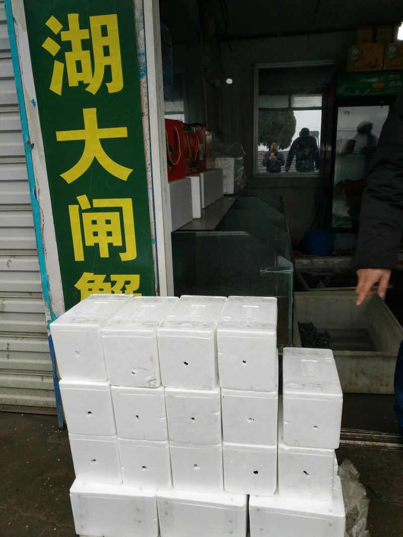 高邮湖大闸蟹批发及零售（10只礼盒装）招代理、电商平台