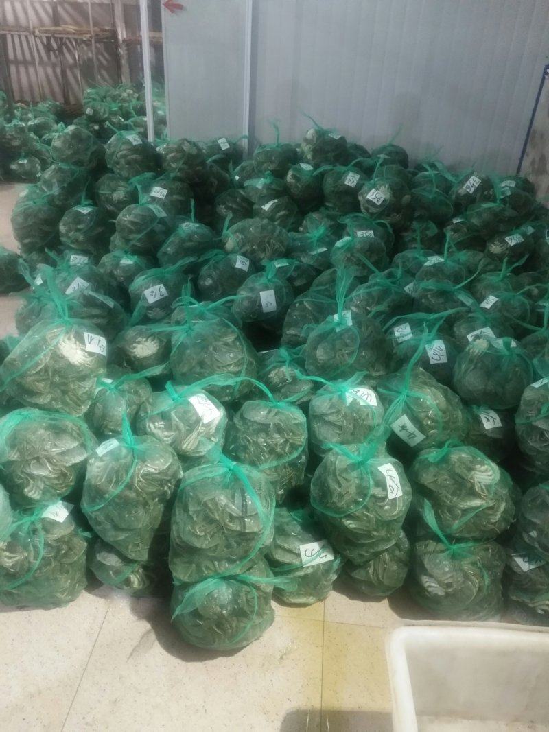 高邮湖大闸蟹批发及零售（10只礼盒装）招代理、电商平台