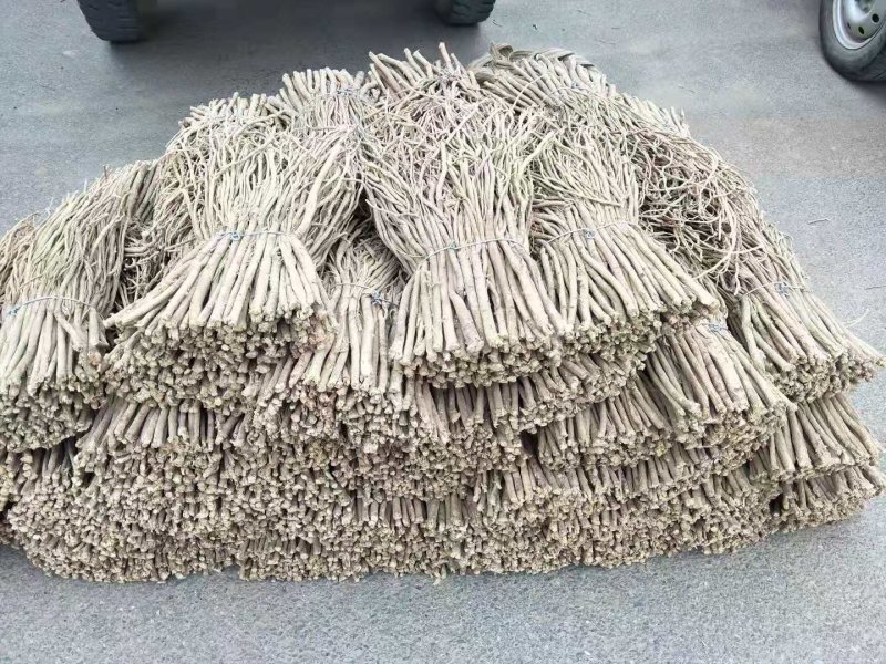 甘肃黄芪甘肃岷县黄芪甘肃北芪甘肃岷县北芪无硫黄芪