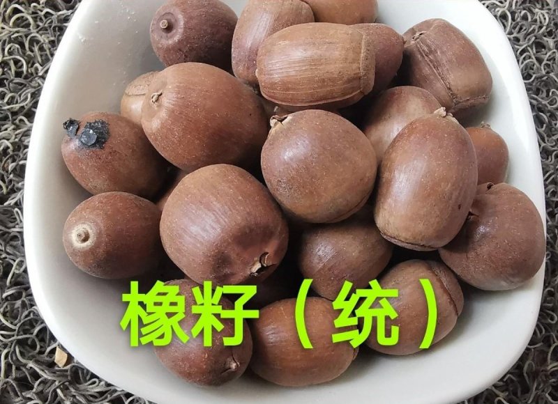 橡实.道地药材，质优价实，品质保证，药典标准一公斤起批