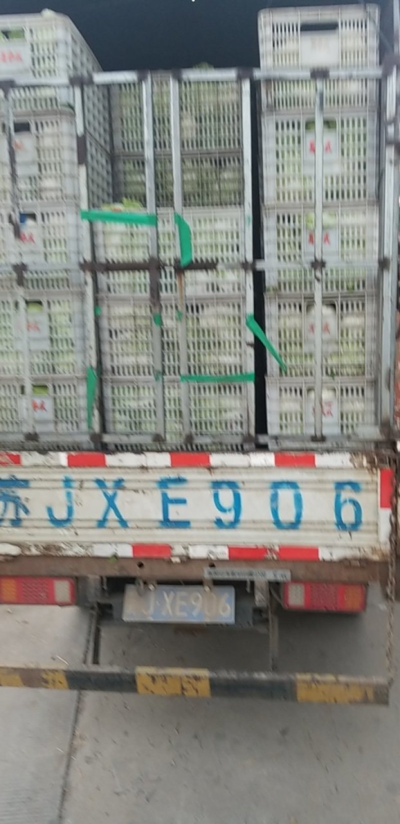 江苏东台黄心白菜大量上市对接全国电商批发市场