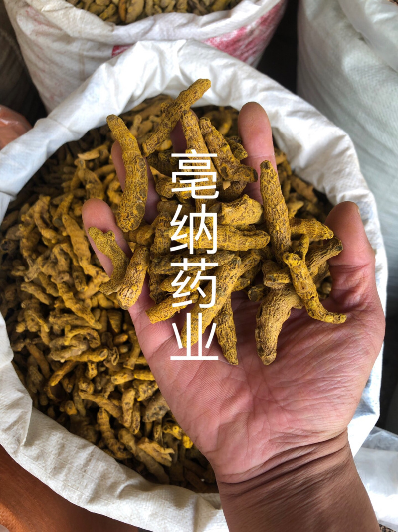 姜黄中药材姜黄个姜黄片一公斤起批