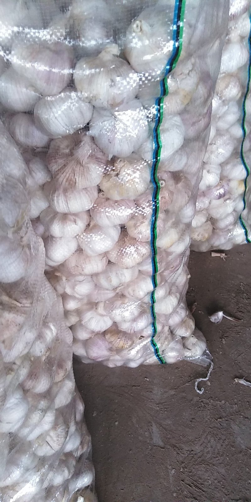 山东金乡大蒜，代收代发代存提供行情走势本地优质精品红皮大