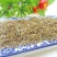 焊菜.产道直供地药材，质优价实，品质保证，药典标准
