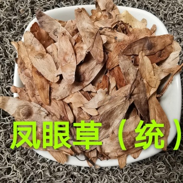 凤眼草.道地药材，质优价实，品质保证，药典标准一公斤起批