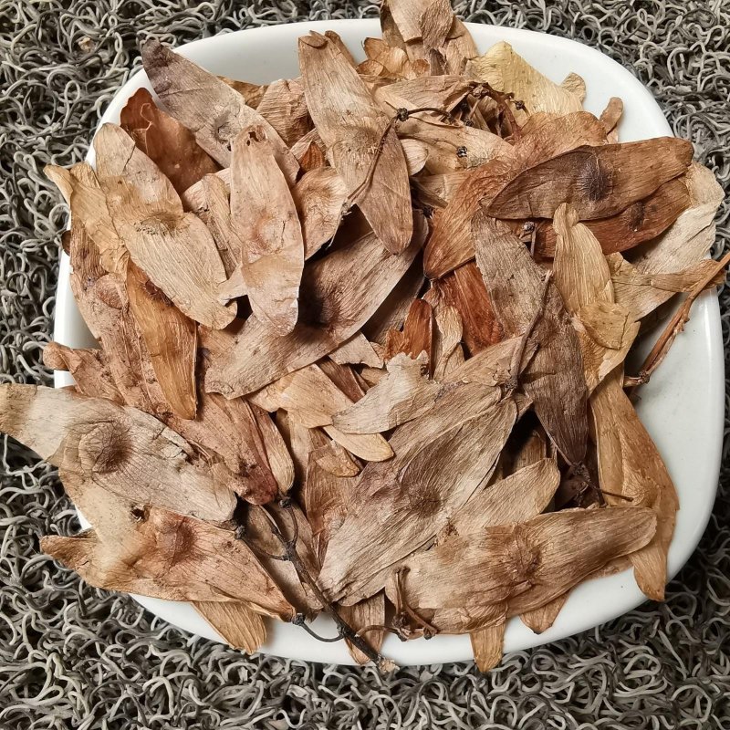凤眼草.道地药材，质优价实，品质保证，药典标准一公斤起批
