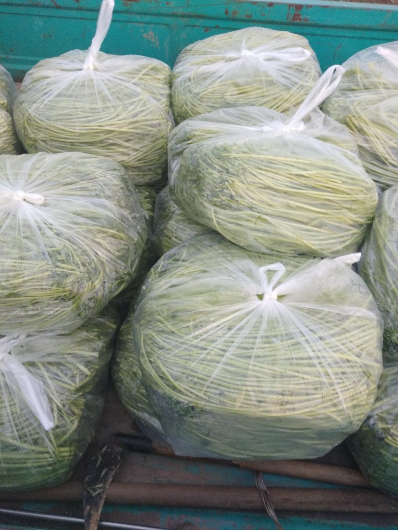 芦蒿（江苏芦蒿)翠绿青蒿，黎蒿，毛蒿质量优