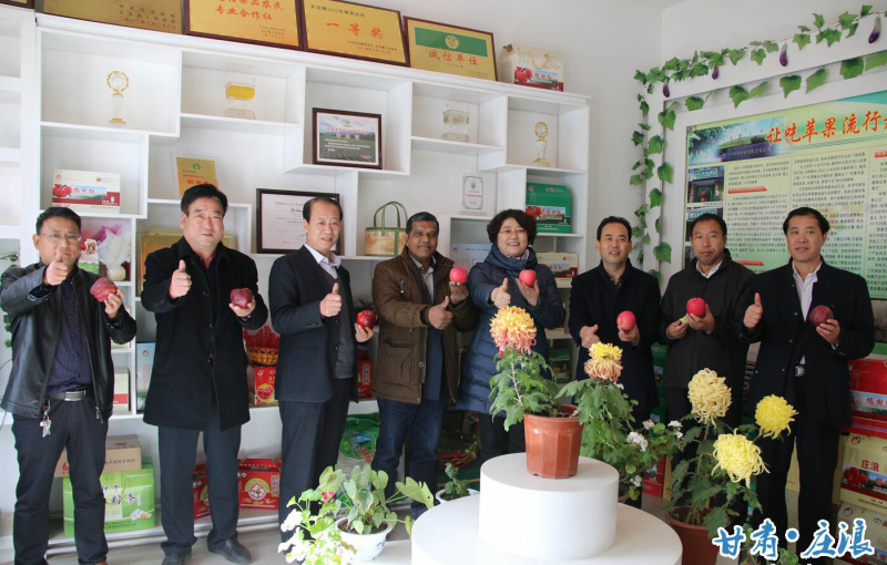 【早熟红富士】大量供应口感好产地直销甘肃平凉庄浪静宁