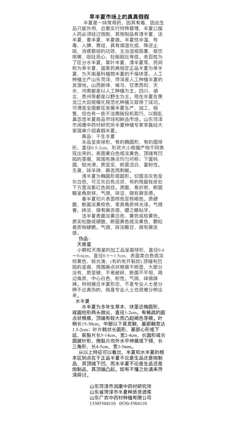半夏块茎山东菏泽狭三叶品种，自产自销批发零售需要的话联