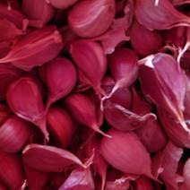 徐州优质红根蒜苗，纯手工剥蒜瓣川蒜香蒜紫皮苔蒜瓣