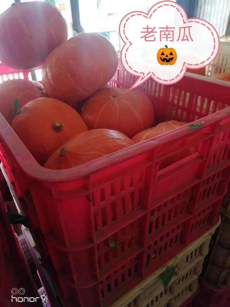 南瓜🎃
